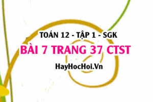 Bài 7 trang 37 Toán 12 tập 1 Chân trời sáng tạo: Tiệm Cận Đứng Của Đồ Thị